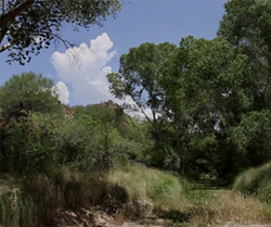 31 Things to Do This Weekend in Tucson