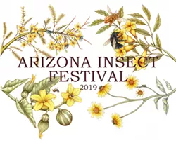 Things to Do This Weekend This Weekend in Tucson