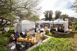 Things to Do This Weekend in Tucson