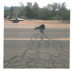 We Won't Have Ally Miller To Kick Around Anymore