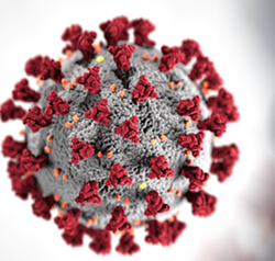 Additional COVID-19 Antibody Tests Available in Pima County