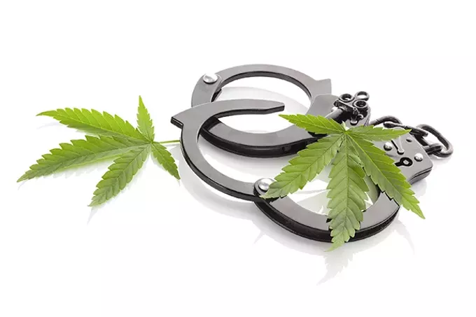 MMJ: Cloudy Complaints