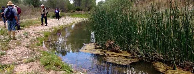 San Pedro River, squeezed by growing population, is subject of multiple lawsuits