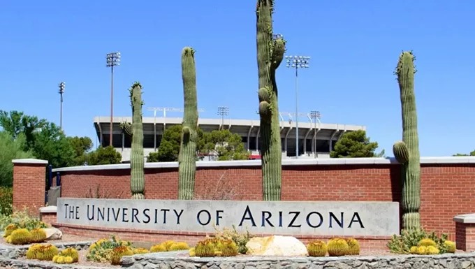 “This Is a Critical Time for the Community”: UA Expects Spike in COVID-19 Cases as Students Ignore Safety Precautions