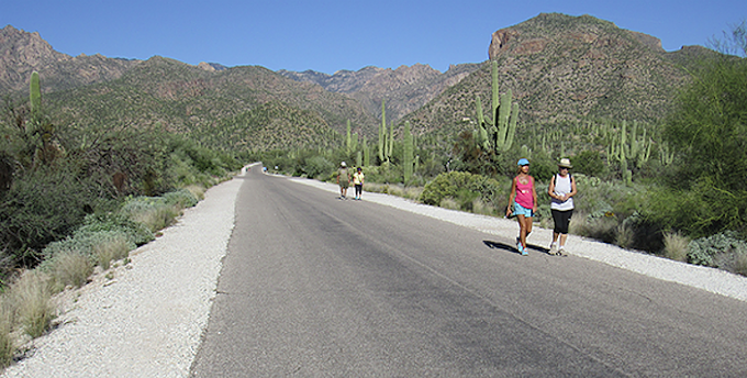 Sabino Canyon Re-Opening Today But No Tram or Visitor Center