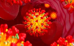 Four Positive COVID Cases in Amphi Schools