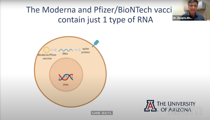 UA Develops New "Swish Gargle" COVID-19 Test, Expert Discusses Vaccine Efficacy (2)