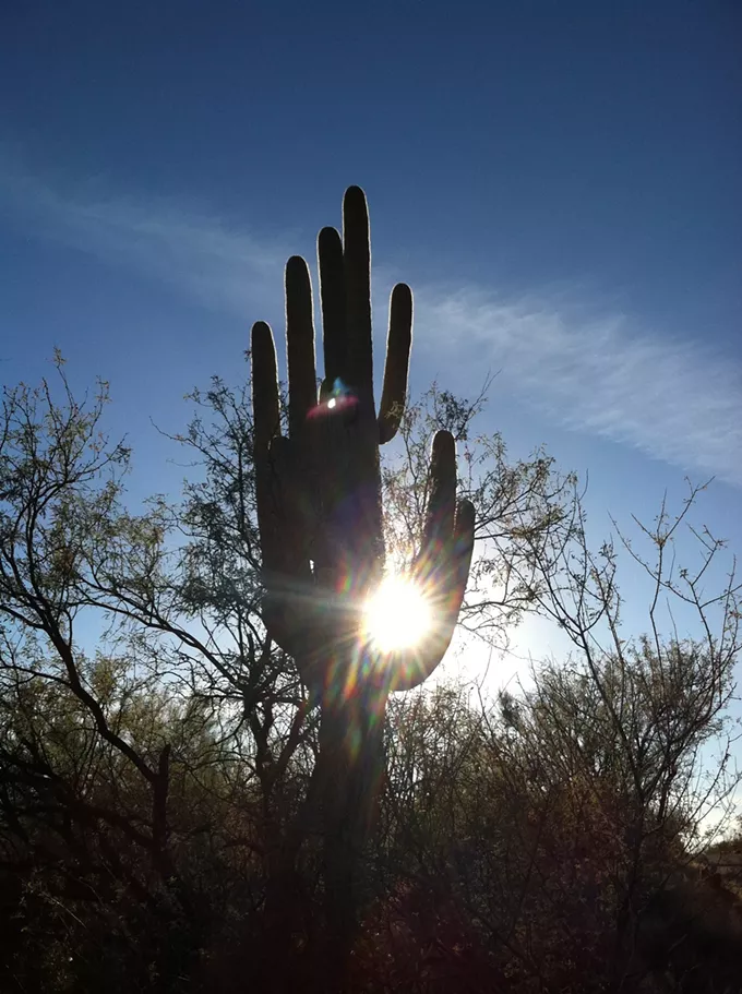 The Daily Saguaro, Sunday, 6/6/21