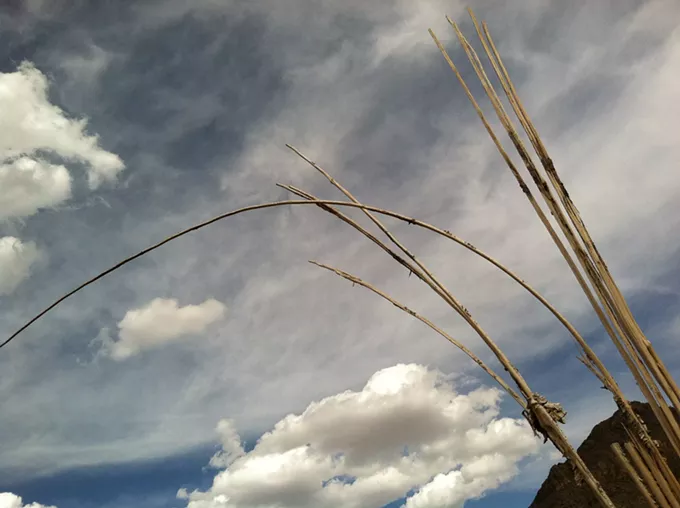 The Daily Saguaro, Monday 6/7/21