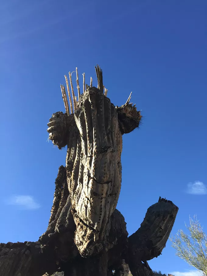 The Daily Saguaro, Thursday 7/1/21