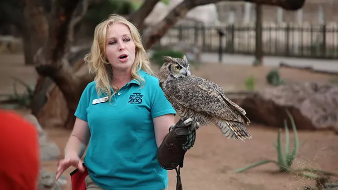 Summer Safari Nights start amid zoo construction