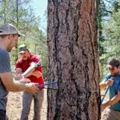 Image: UA Climate Adaptation Science Center receives $4.5M