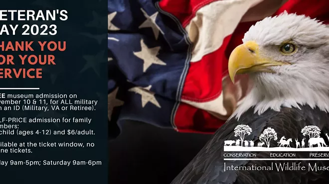 Image: Veteran's Day