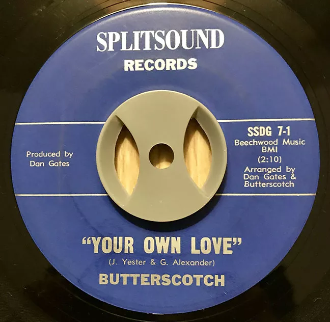 vintage_vinyl.webp