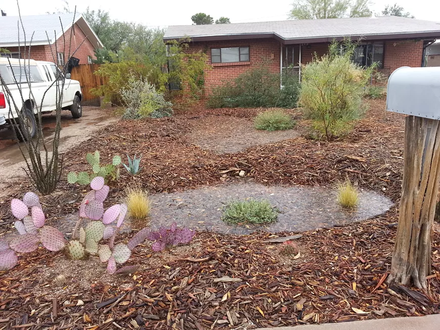 This free, virtual field studies focuses on the nuances of rain garden care and how to keep your water harvesting landscape happy, healthy and long-lasting.