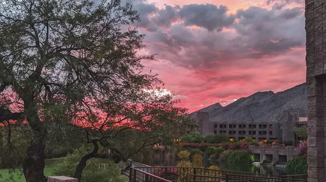 Image: Grape expectations: Treat yourself to a Daou wine dinner at the Flying V