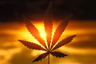 Image: Federal Flailing: A jammed U.S. Senate can’t seem to get cannabis legalization to the finish line