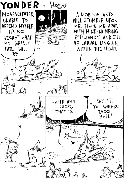 Image: Yonder