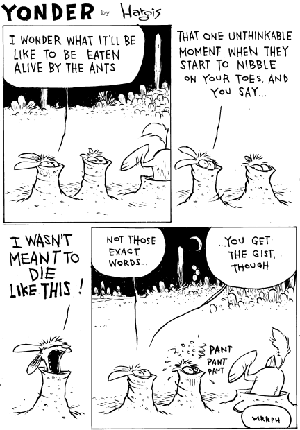 Image: Yonder