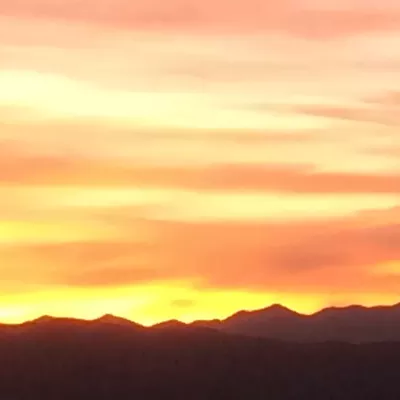 Image: Your Southern AZ Coronavirus PM Roundup: 29 Now Dead Statewide, Confirmed Cases Hit 1,413; It's April 1 and the Rent Is Due for Struggling Restaurants; UA/PAG Want Your Ideas for a COVID-19 Testing Booth; Loft Is Streaming 'Plan 9 From Outer Space'